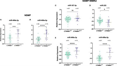 Identification of miR-499a-5p as a Potential Novel Biomarker for Risk Stratification in Endometrial Cancer